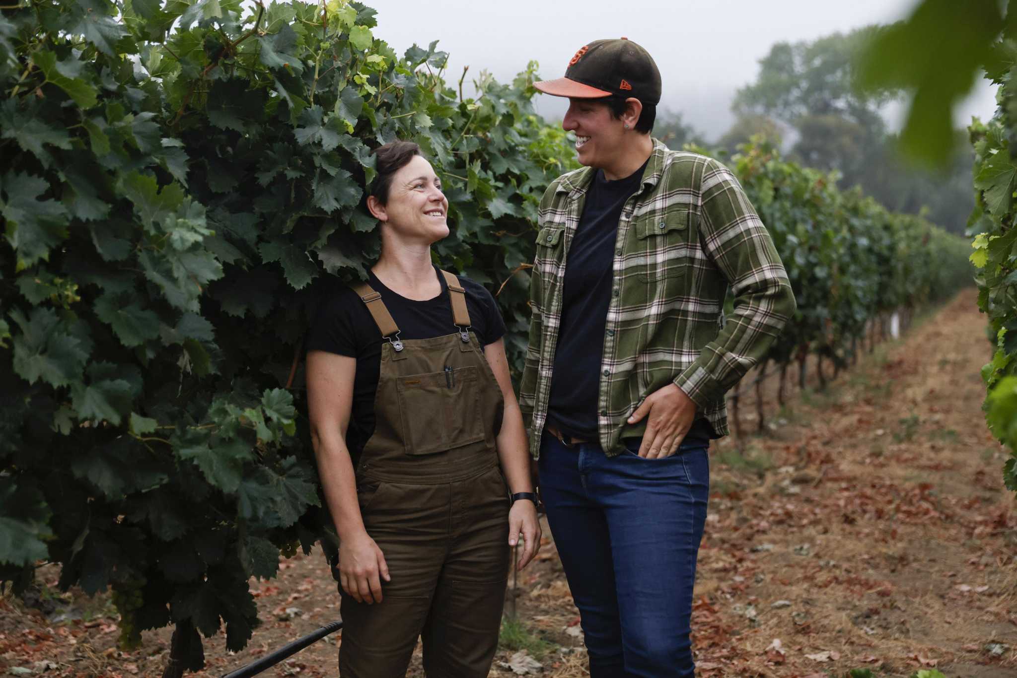 Sonoma's Birdhorse label has a new take on chuggable wines - Vimarsana News