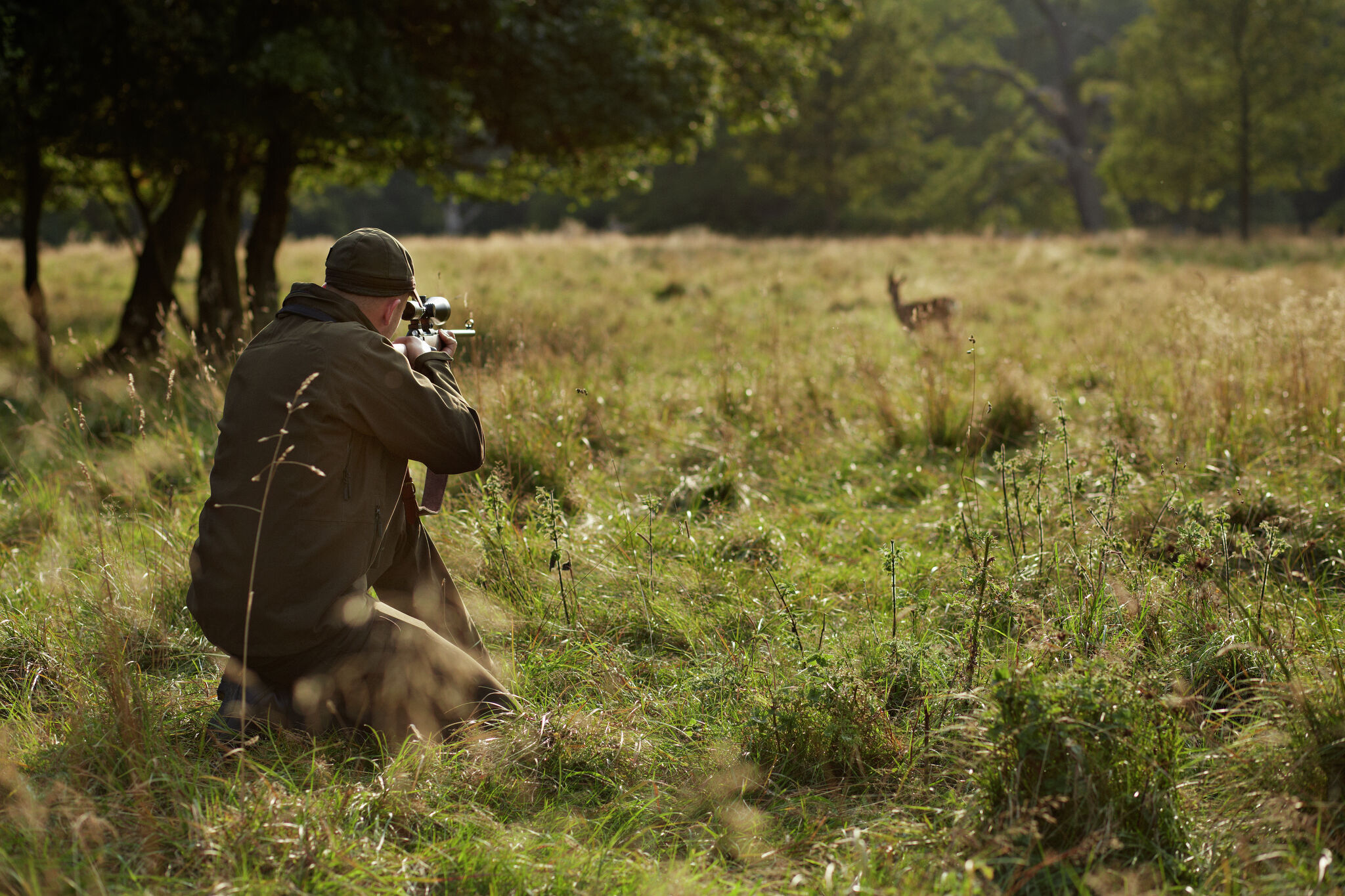 Amid confusion, state reminds hunters change in Illinois rifle rules still months away