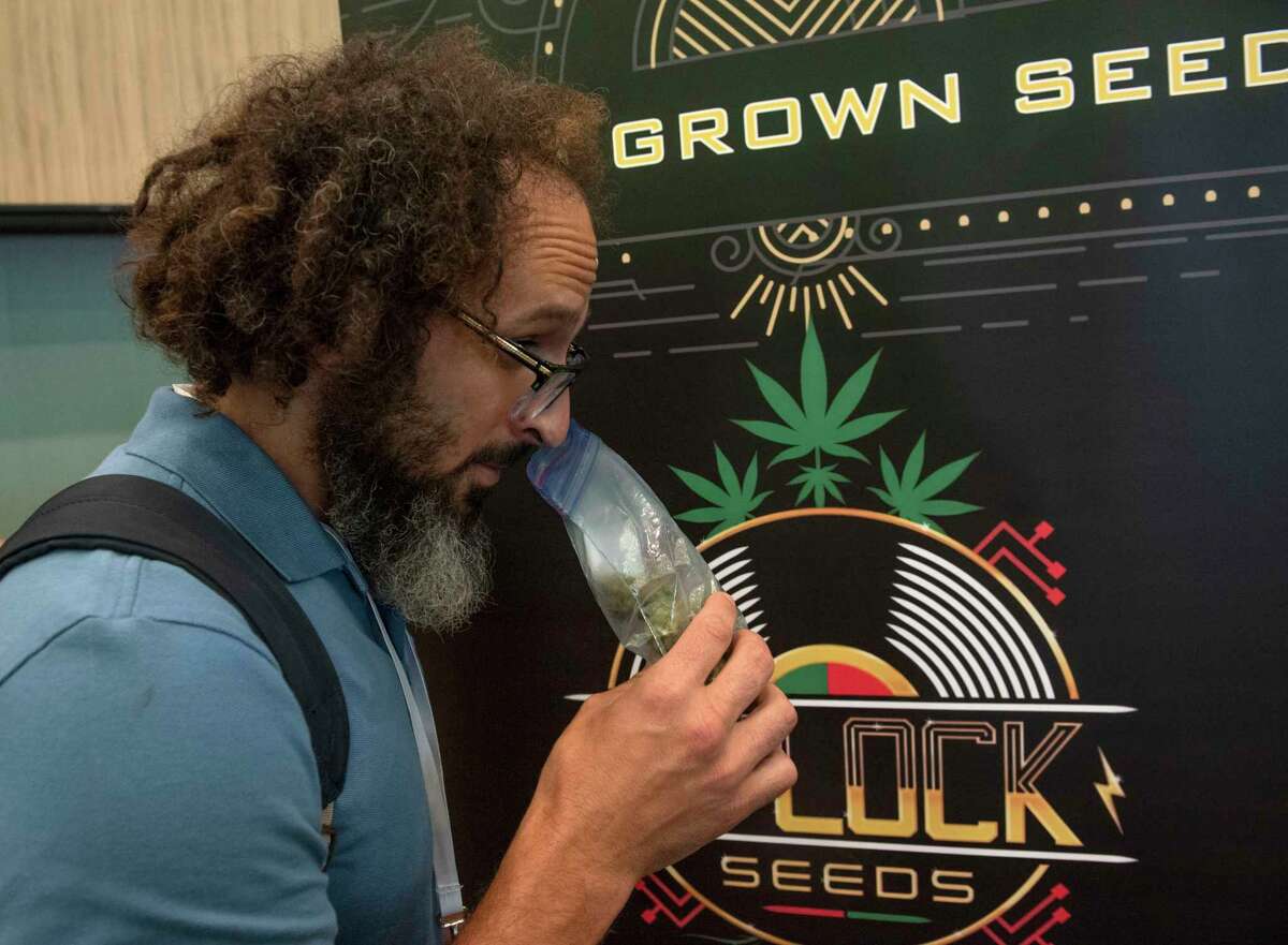 Attendee Daniel Attanasio smells a cannabis bud at Ziplock Seeds booth during the New York Cannabis Convention held at the Albany Capital Center on Friday.
