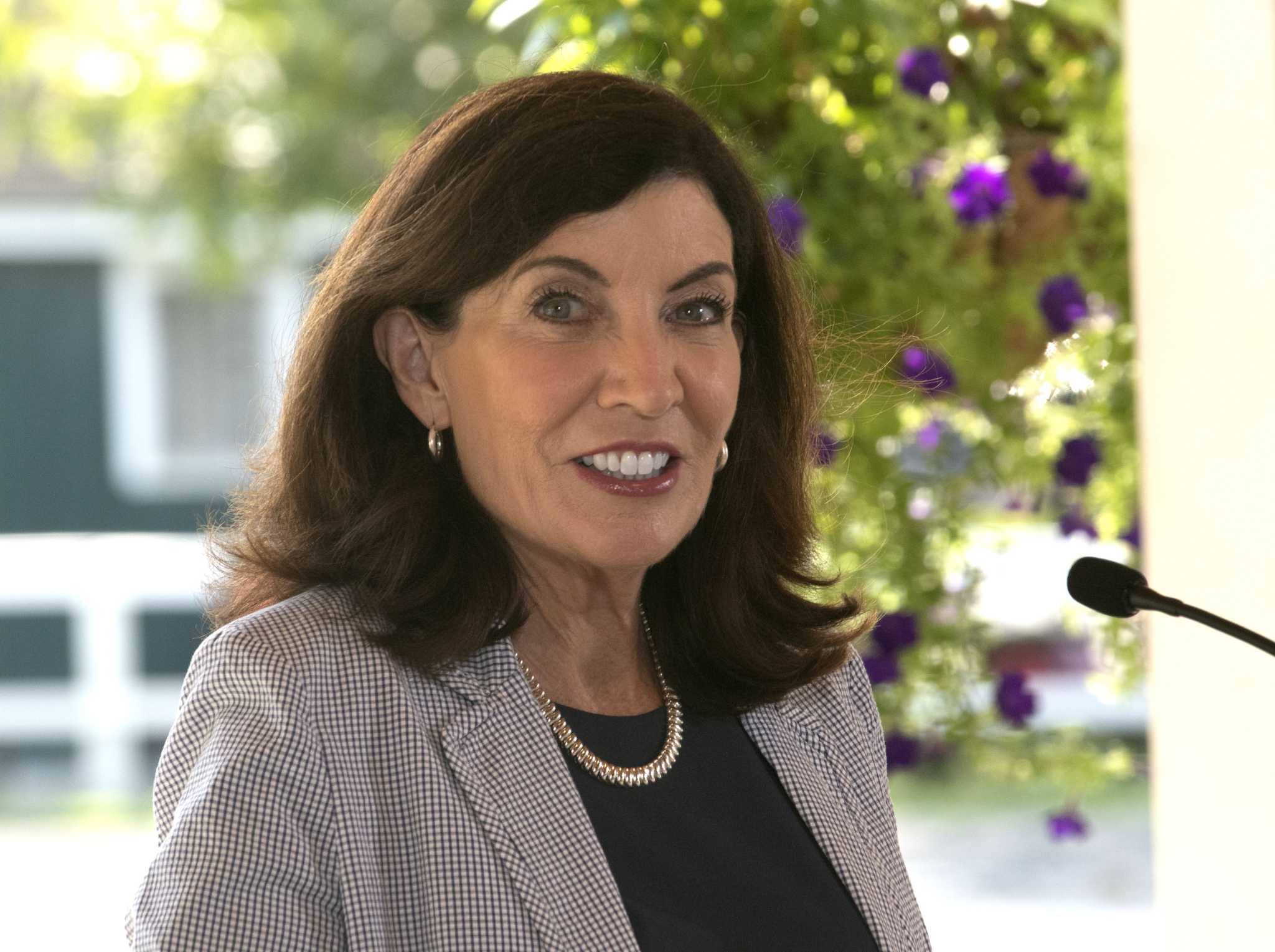 California Paid 45 Percent Less For Tests Supplied By Hochul Donor