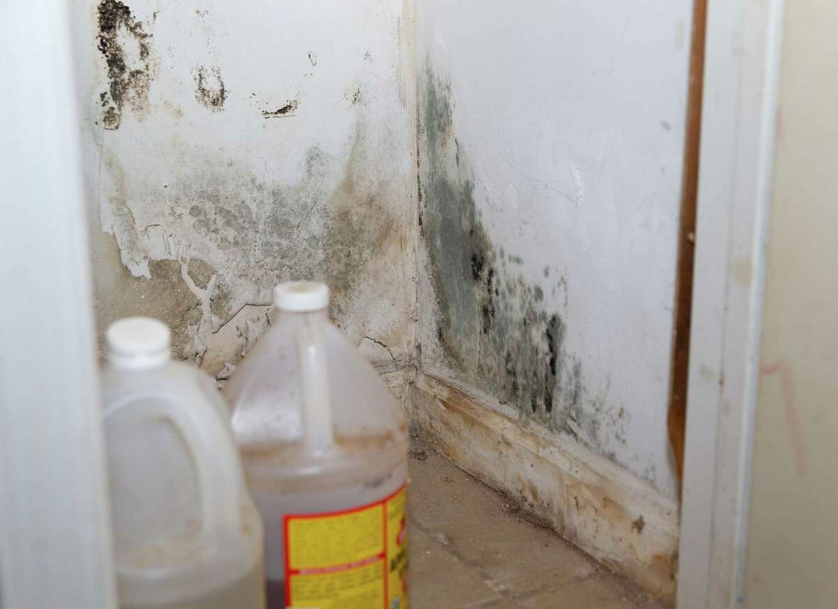 Mold keeps coming back in Gloria Smith’s pantry.