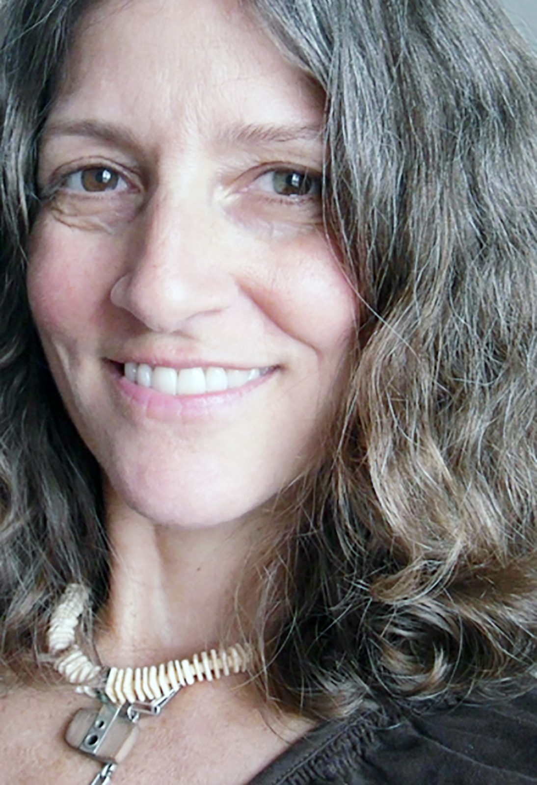 Book explores Springfield's Black history - Vimarsana News