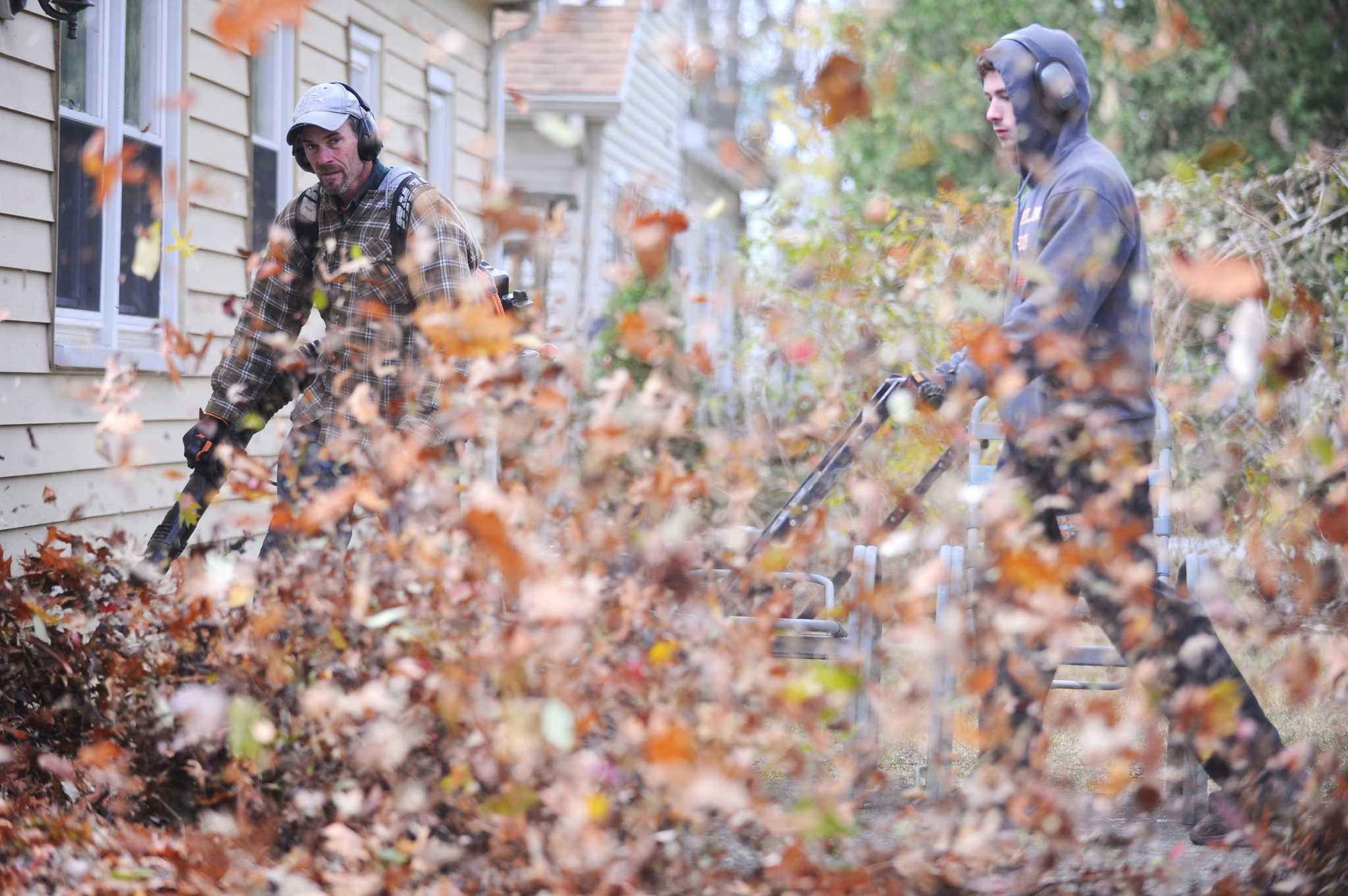 Will Stamford tighten rules on noisy leaf blowers? - Vimarsana News