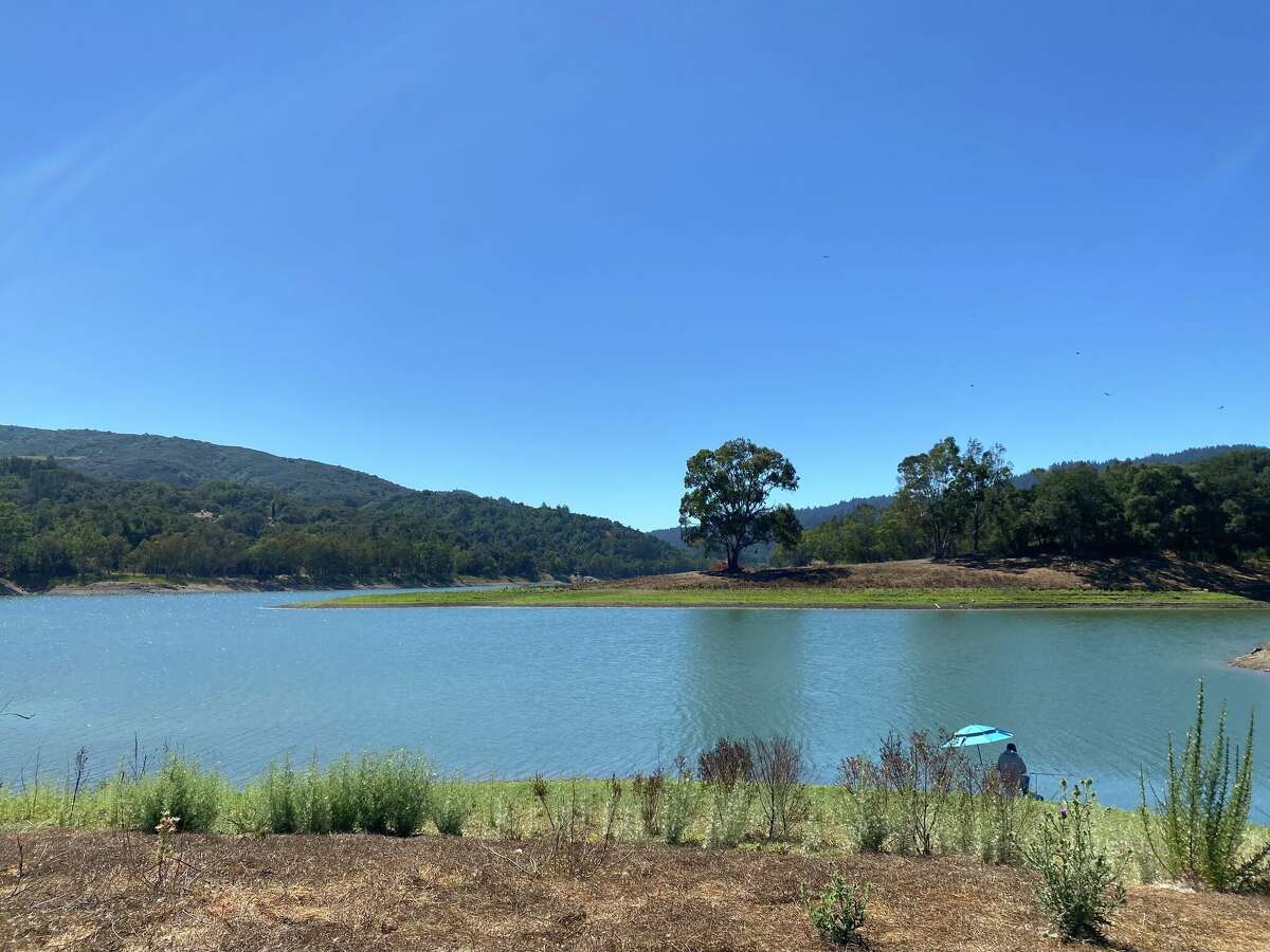 The brief history of a drowned Bay Area town, Alma, California