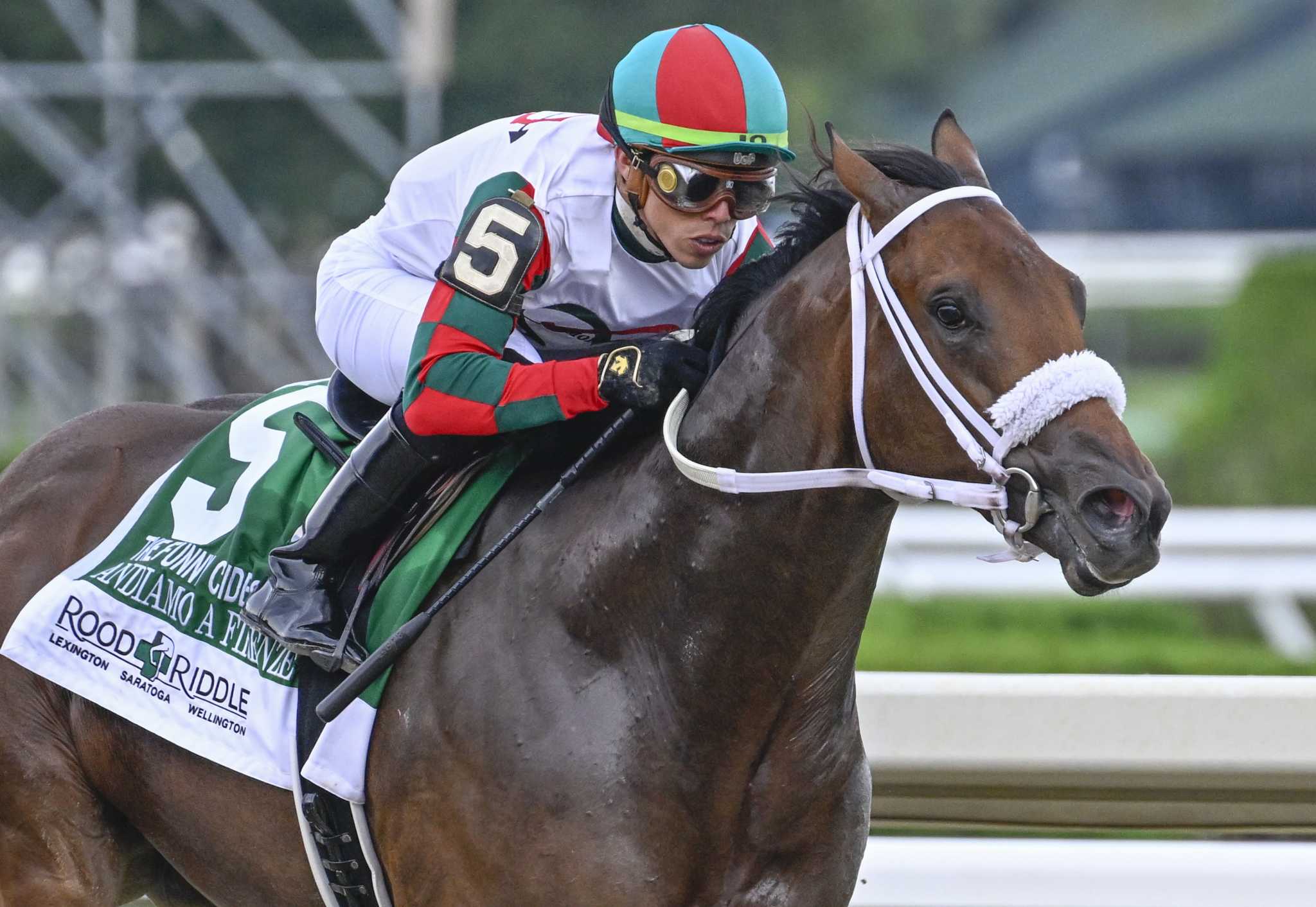 Andiamo a Firenze scores win in Funny Cide - Vimarsana News