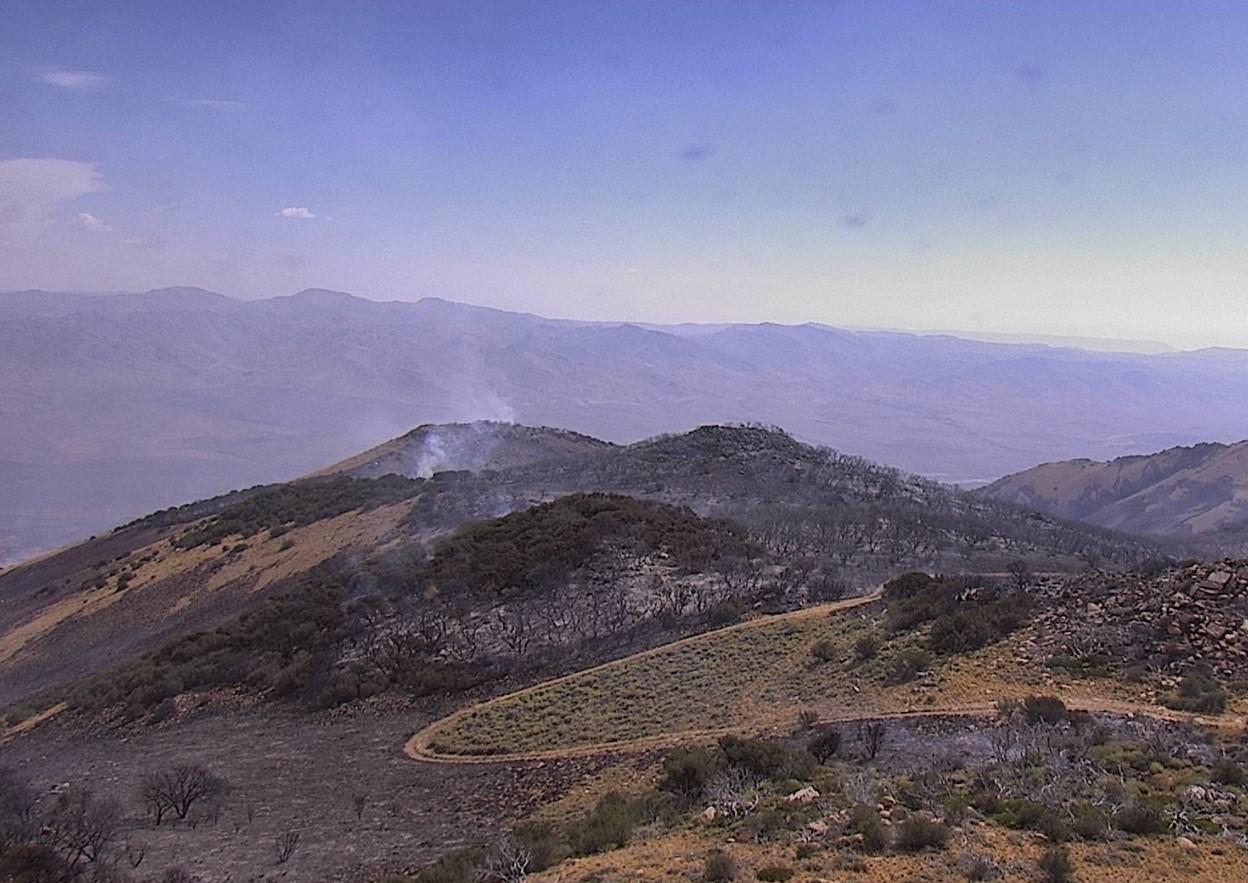 Fast-moving wildfire north of Burning Man grows to more than 15,000 acres overnight - Vimarsana News