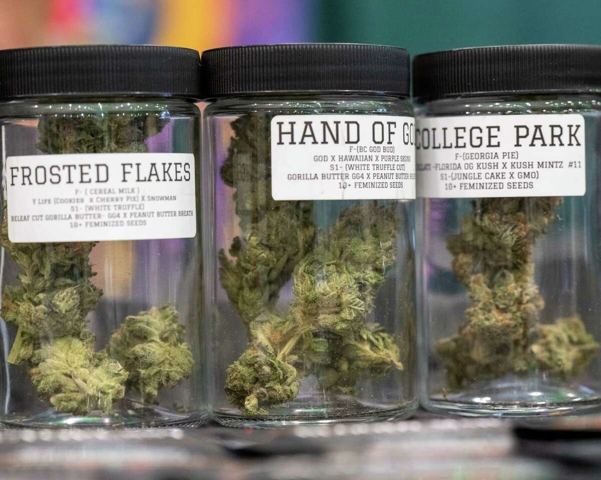 Samples of marijuana on display during the New York Cannabis and Hemp Convention at the Albany Capital Center Aug. 27. (Jim Franco/Times Union)