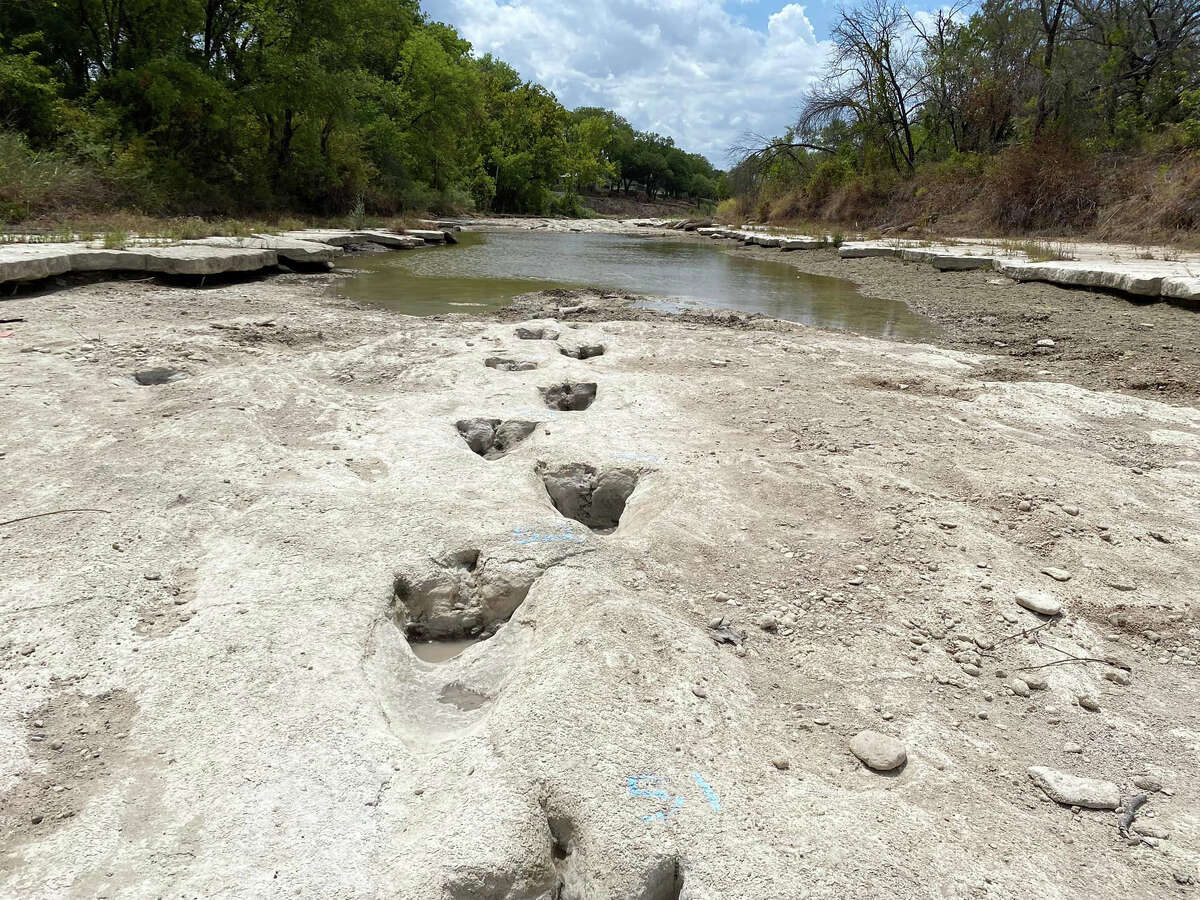 A photo provided by Dinosaur Valley State Park in Glen Rose shows dinosaur tracks that were previously hidden underneath the Paluxy River.