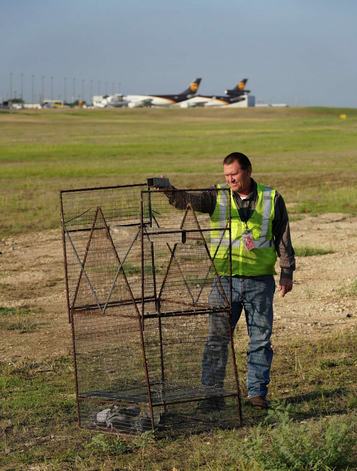 Marcus Machimhl's job is unique.  He's tasked with keeping animals and wildlife clear of San Antonio's airports.  He's checking a bird trap on the north perimeter of the airport.
