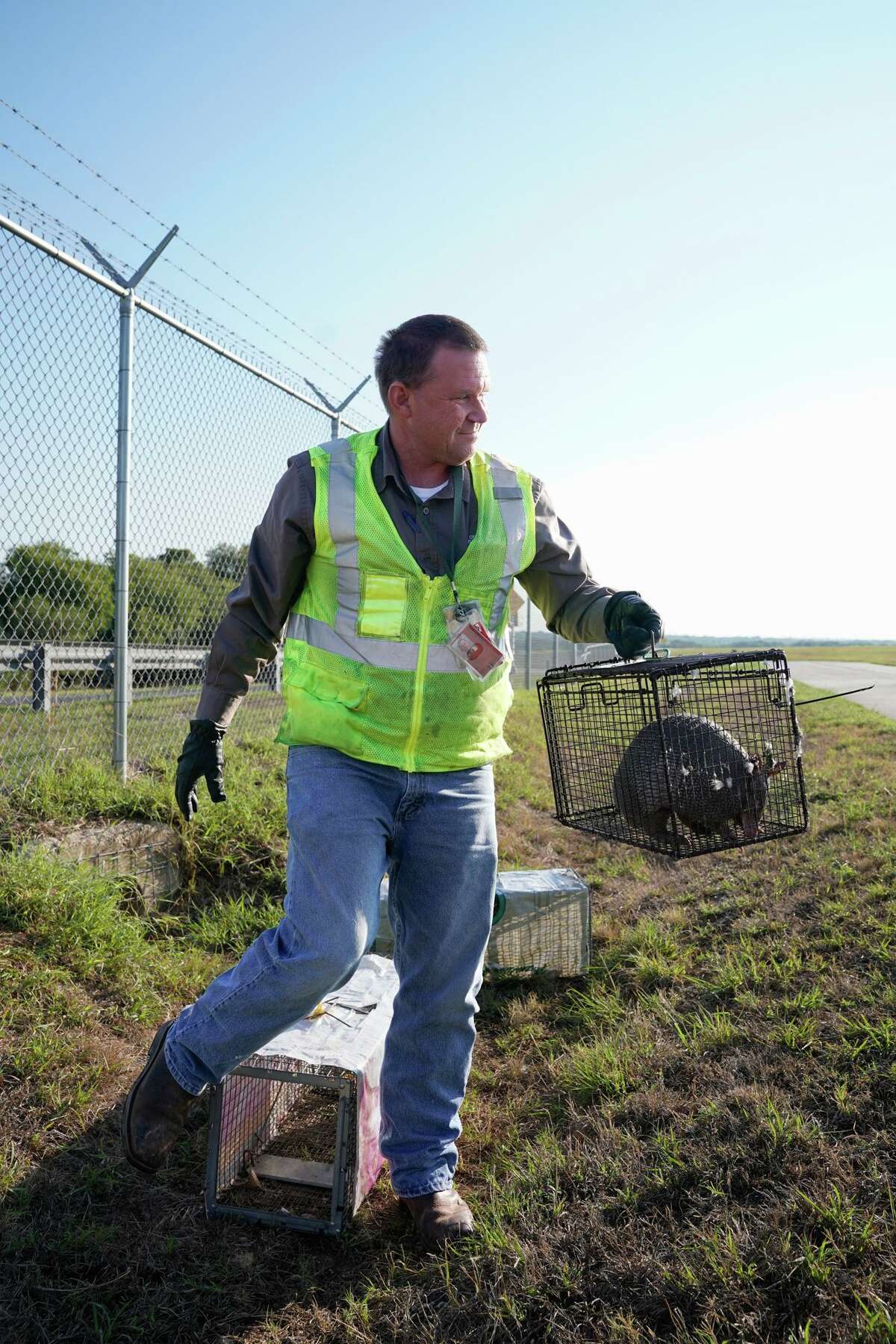 Marcus Machemehls jobb er å holde dyr og dyreliv unna San Antonio-flyplassene. Her laster han en fanget beltedyr på San Antonio internasjonale flyplass.