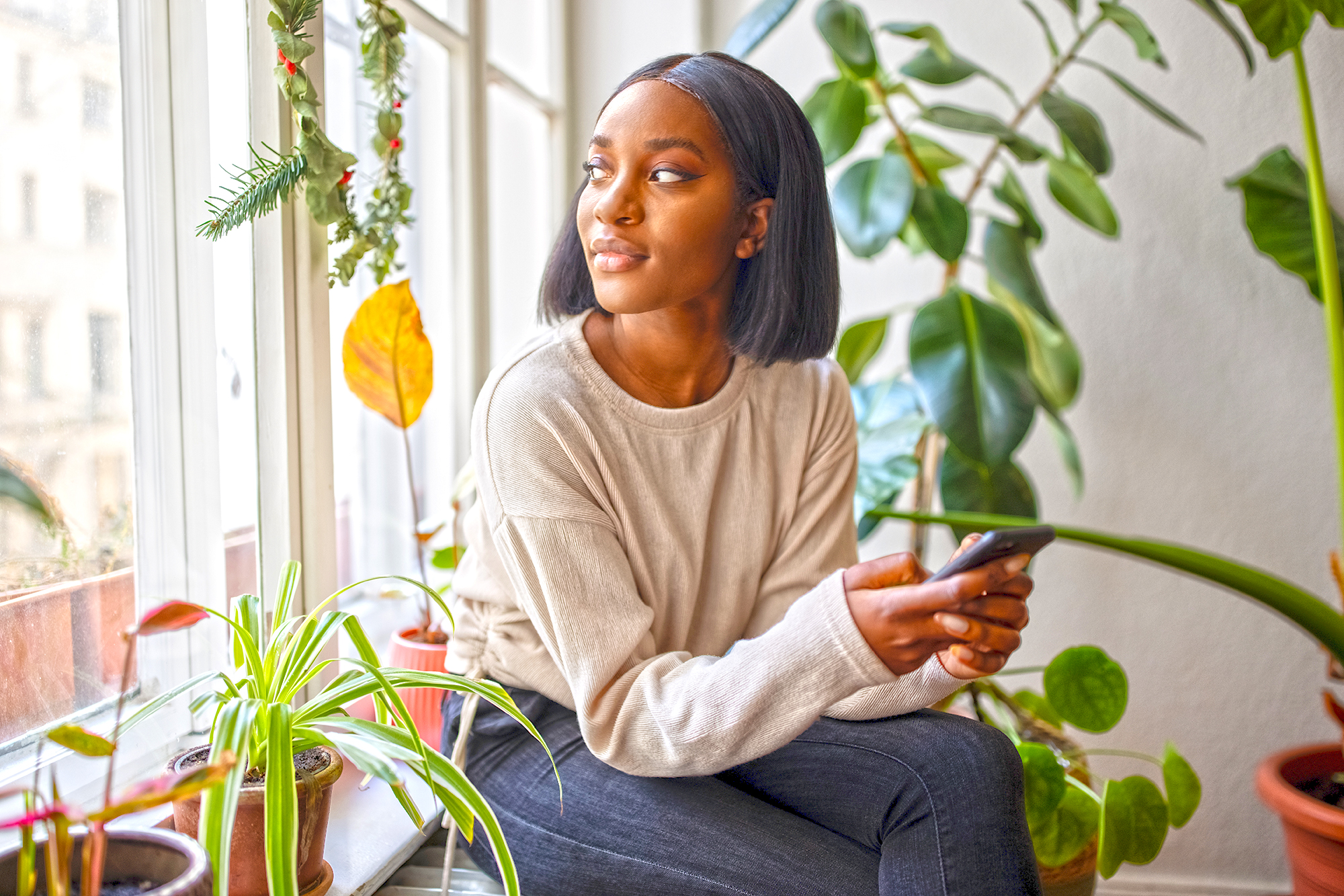 Gardening: Busy? There's still time for indoor plants - Vimarsana News