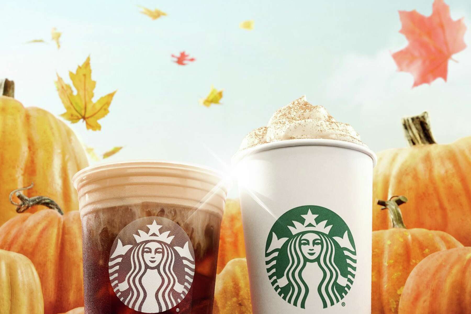 starbucks pumpkin spice in stores