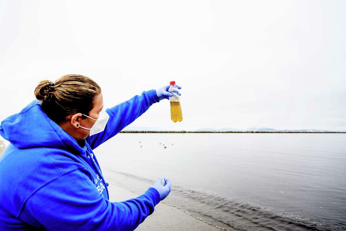 周五，旧金山海湾守护者野外调查员Aundi Mevoli在阿拉米达的Encinal海滩采集水样。