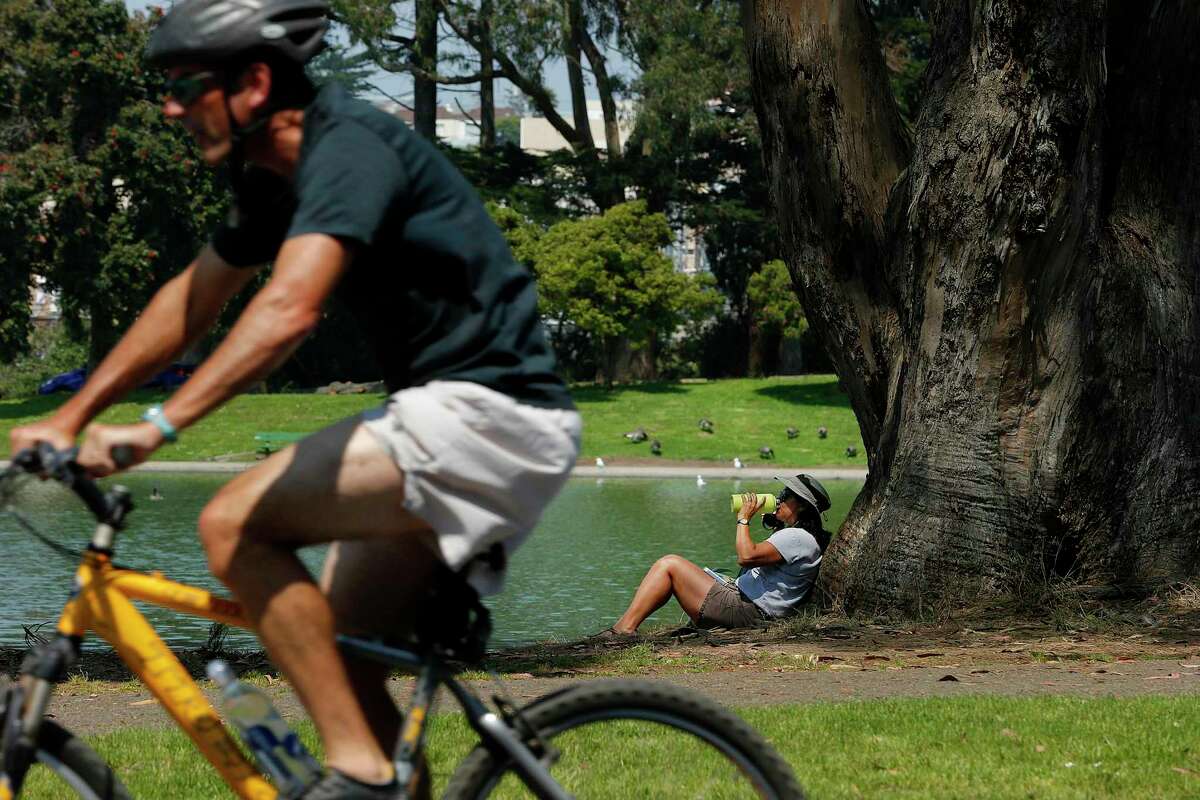 丽莎Hauptman Santa Rosa水合物,覆盖从太阳在树下周五在金门公园,9月1日,2017年,在旧金山,加州,美国国家气象局发布了高温预警的旧金山海湾地区达到了上90年代和一些地区的气温超过100度。登录必赢亚洲