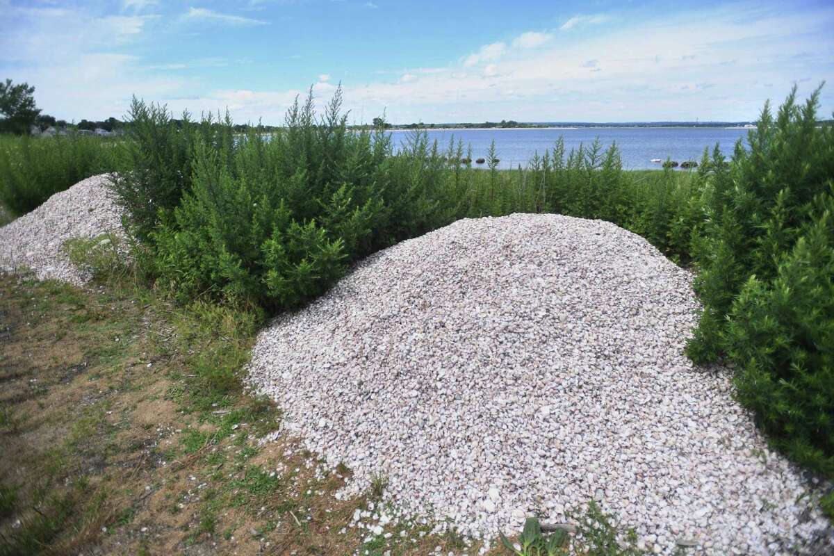 CT shoreline project could hold key amid climate change
