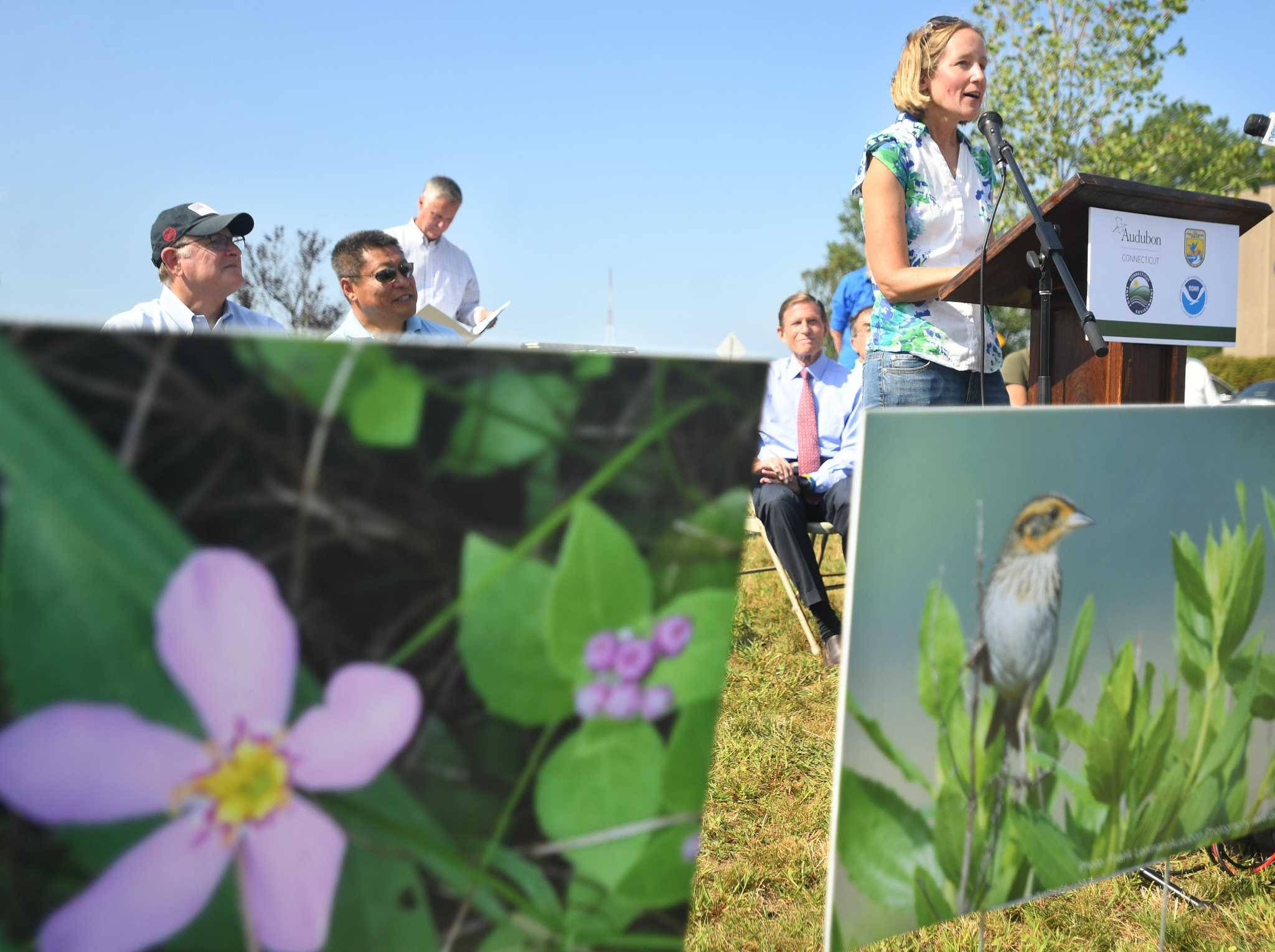 Stratford high school students restore Great Meadows Marsh in $4M project - Vimarsana News