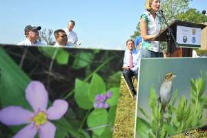 Stratford teens restore Great Meadows Marsh in $4M project