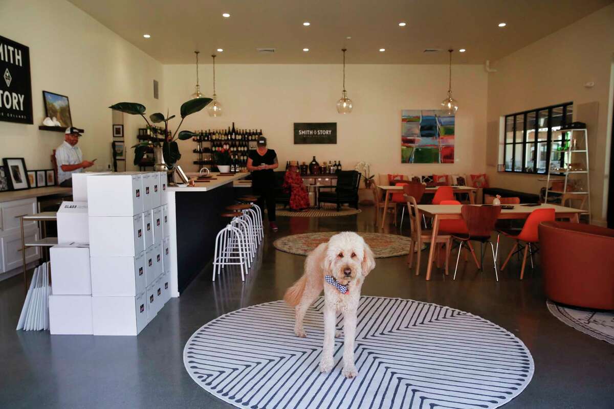Lord Sandwich, Smith Story Wine Cellars' beloved mascot, in the empty indoor tasting room.