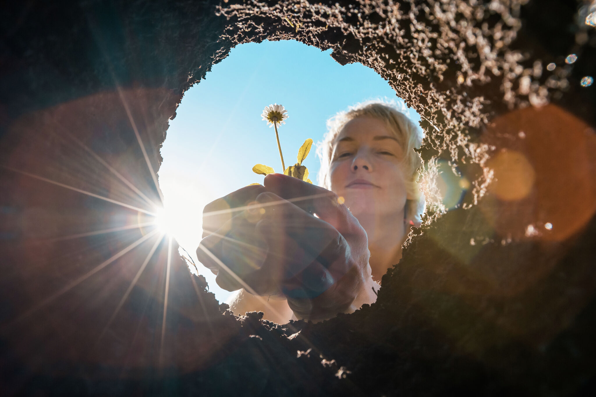 How to grow flower bulbs from seeds - Vimarsana News