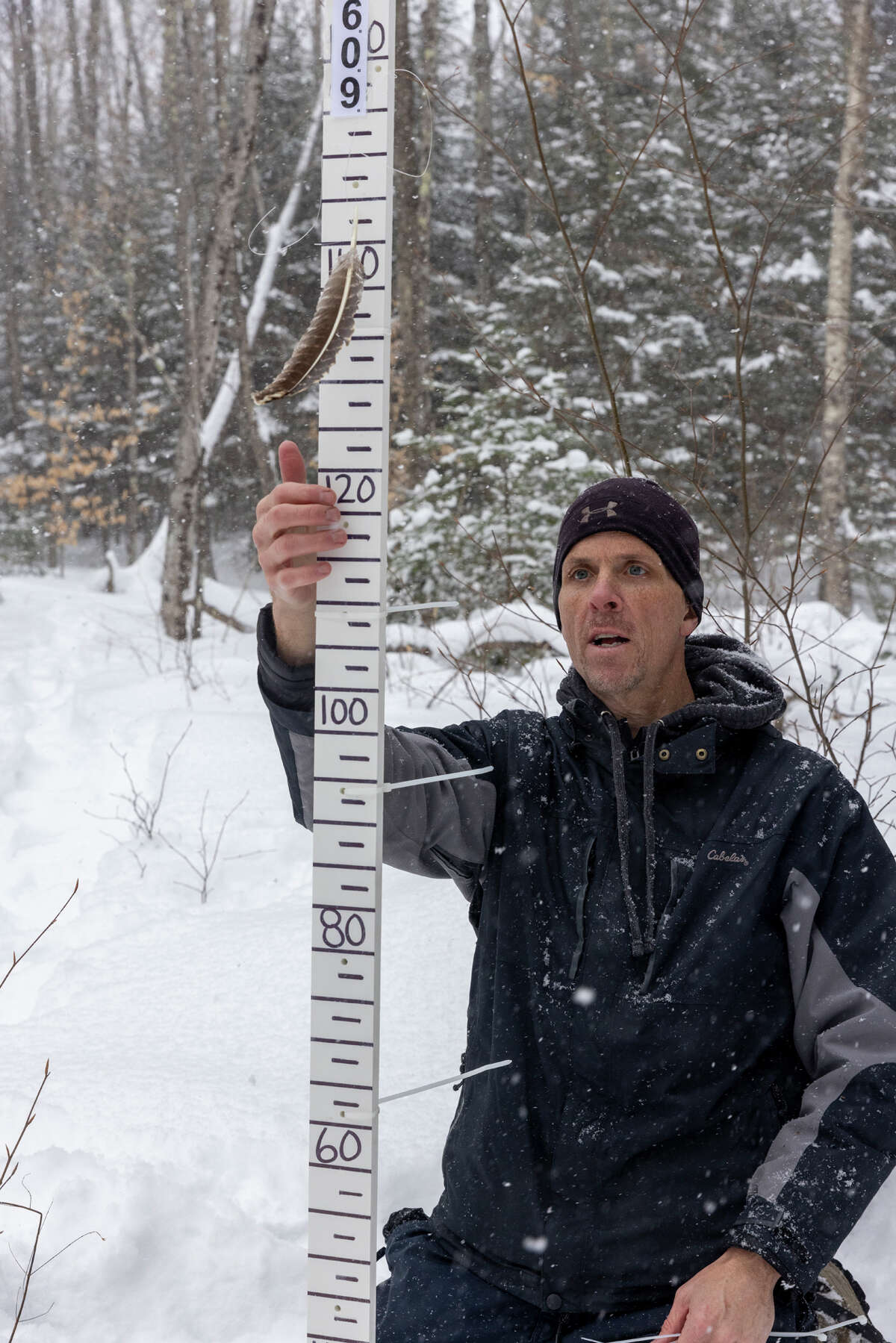 DEC senior wildlife biologist and SUNY ESF adjunct profession Paul Jensen sets up a snow depth measuring stick in the woods outside Lake Placid. 