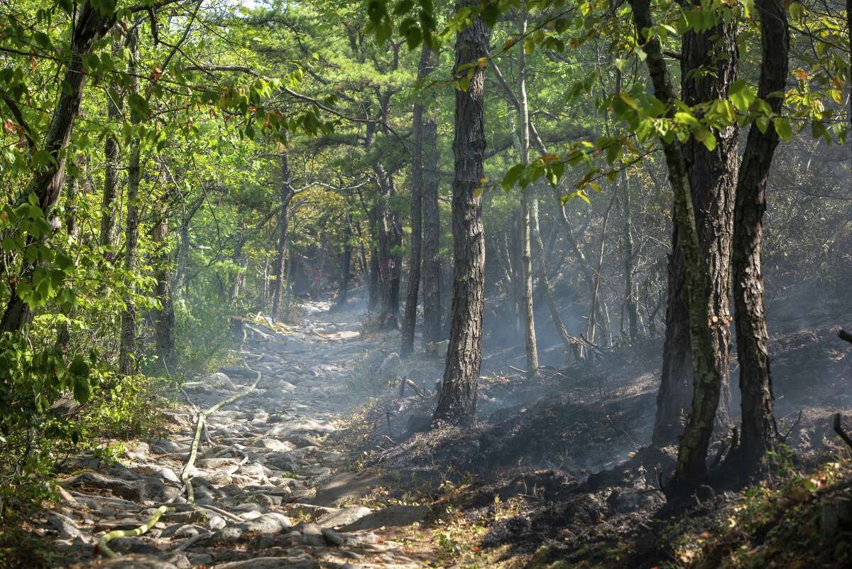 Gov. Kathy Hochul said on Sunday, Sept. 4, 2022 the Napanoch Point wildfire in Minnewaska State Park Preserve has been contained. The state Parks Office says the fire started as a result of a suspected lightning strike on Aug. 27.