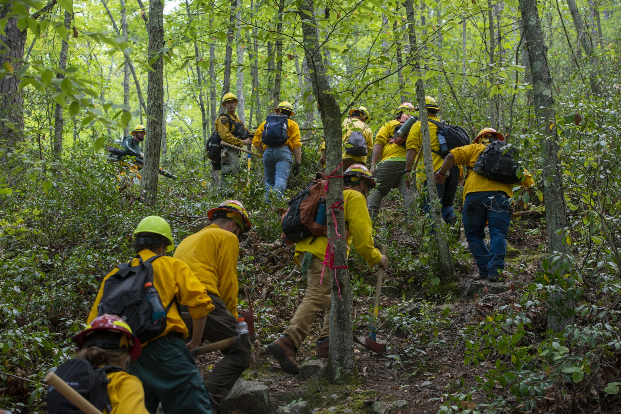 New York at high risk for wildfires