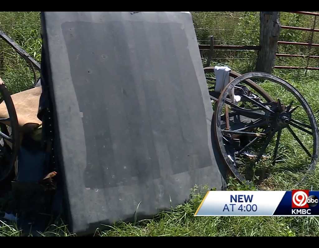 Amish family recovering after driver crashes into their horse and buggy