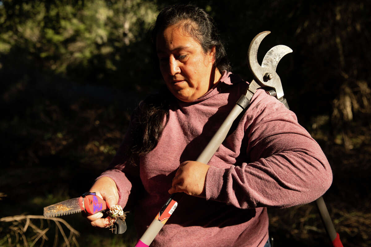 Anabel Garcia, one of the Sonoma County farmworkers that pushed for safer working conditions, disaster insurance, and hazard pay during wildfire season.