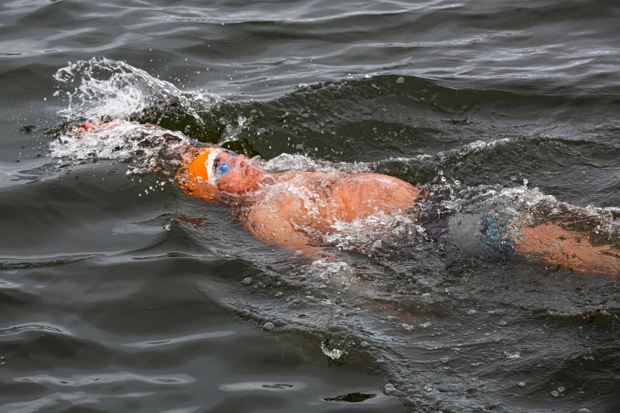 Want to swim in SF Bay? What to need know amid toxic algae, drought and heat wave - Vimarsana News