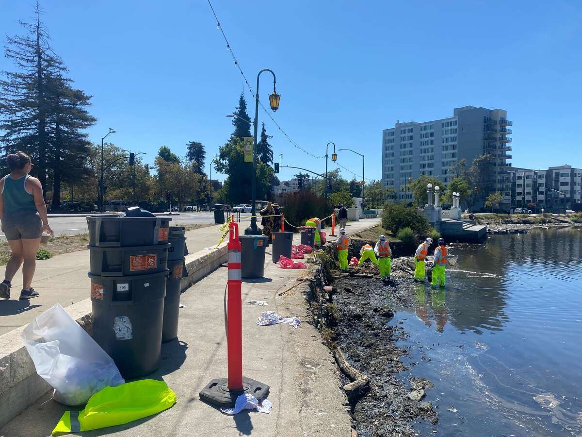 The crews are scooping up fish in nets and placing them into nearby trash cans.Â