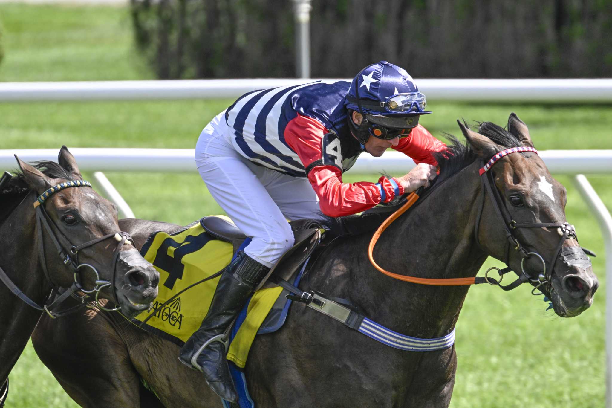 Theocrat surprises in Michael G. Walsh Steeplechase at Saratoga - Vimarsana News