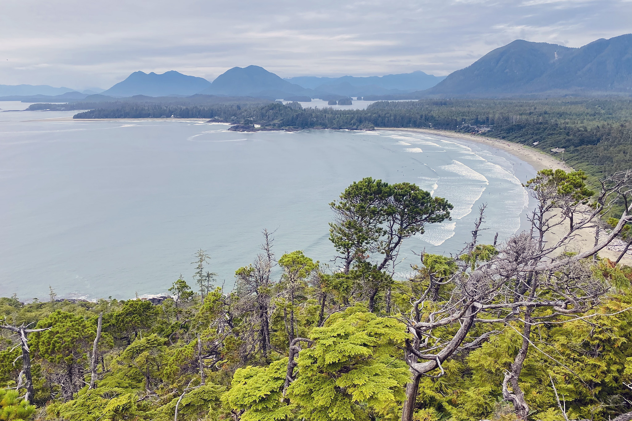 Why Californians are obsessed with remote surf town Tofino image