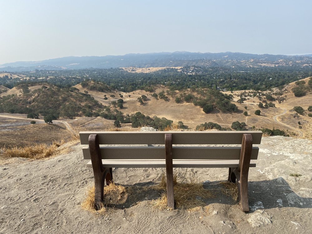 The Berkeley Graduate