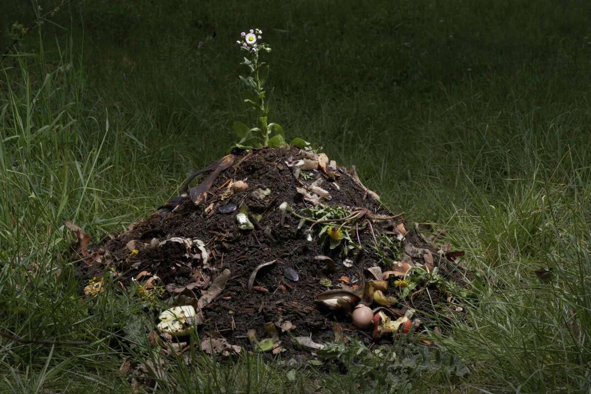 New York is poised to become the sixth state to approve an alternative burial process called Natural Organic Reduction — thought to be the first new form of burial in decades and one that has proven popular with a small but growing segment of eco-conscious customers. (photo illustration)