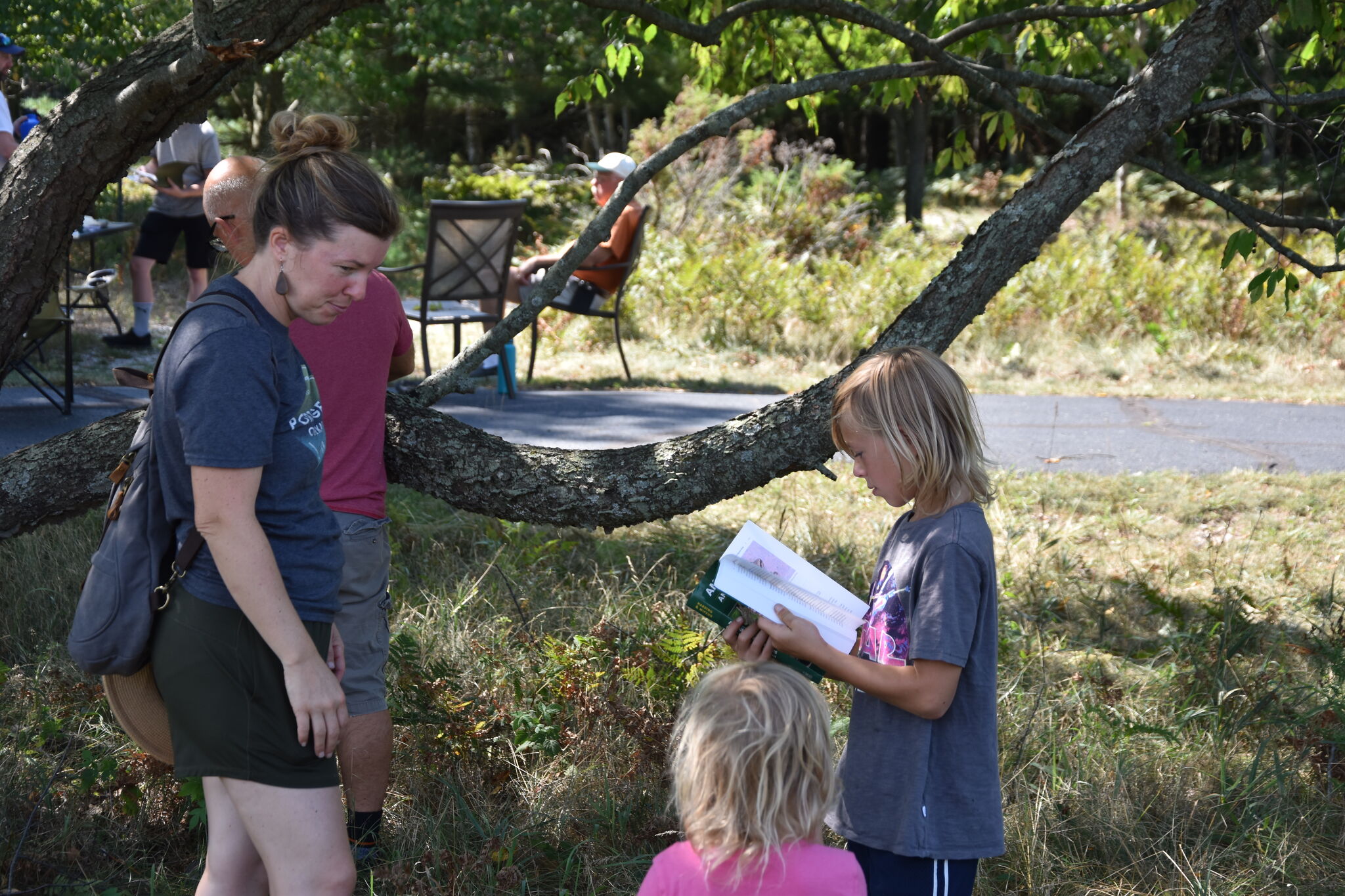 See what's happening in Manistee County Sept. 8-15 - Vimarsana News