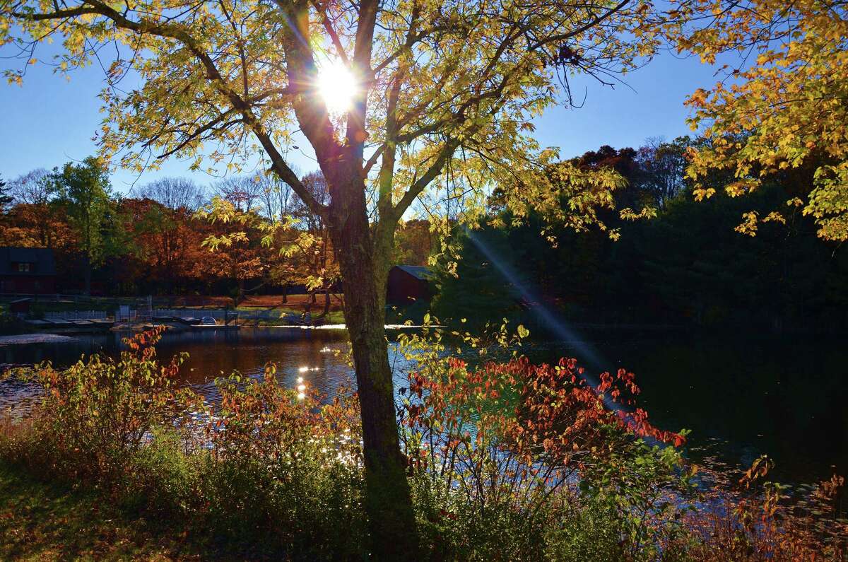 A scene from Deer Lake in the fall.