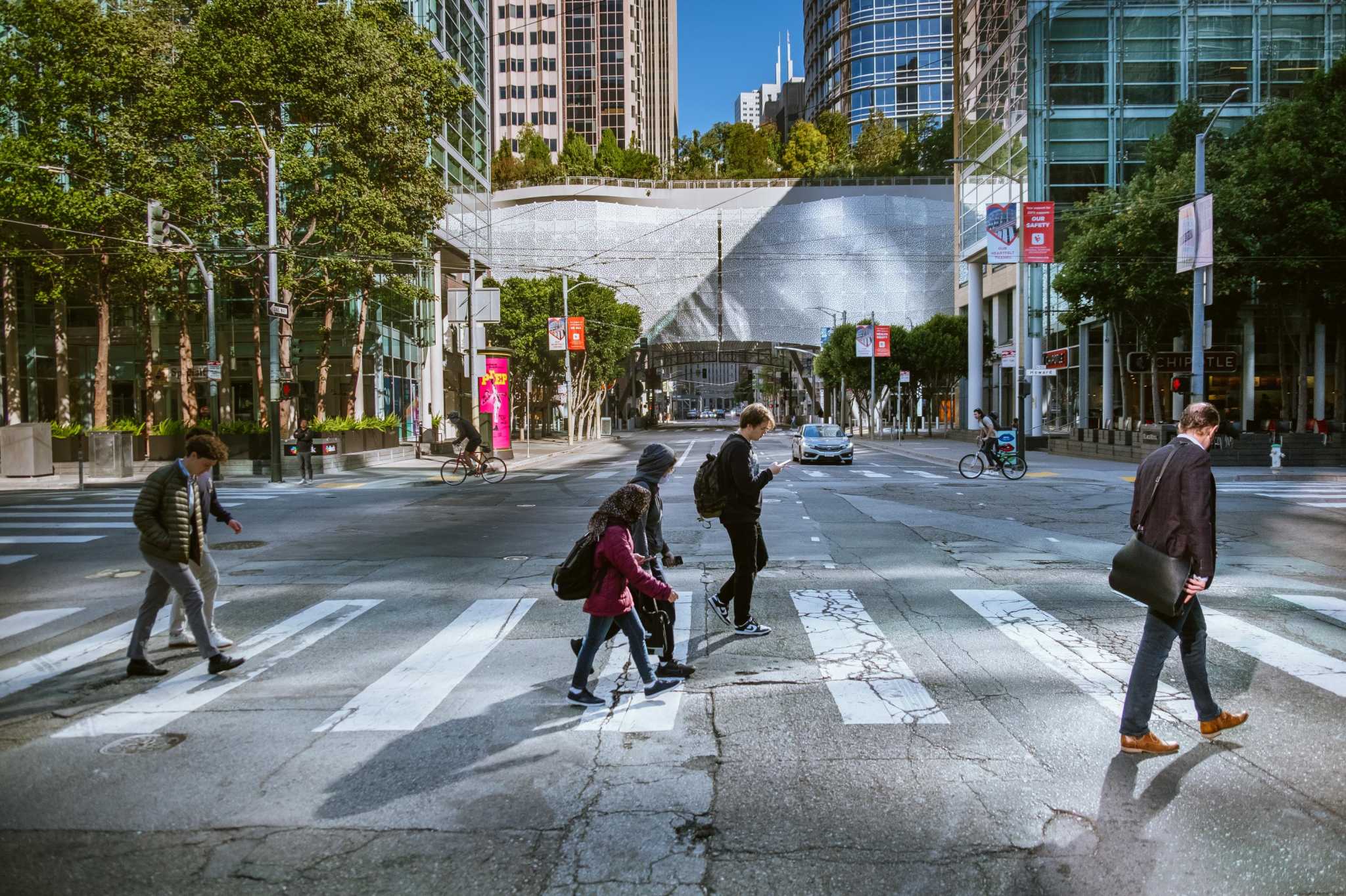 One of San Francisco's most exotic landscapes is in a park that's 70 feet above ground - Vimarsana News