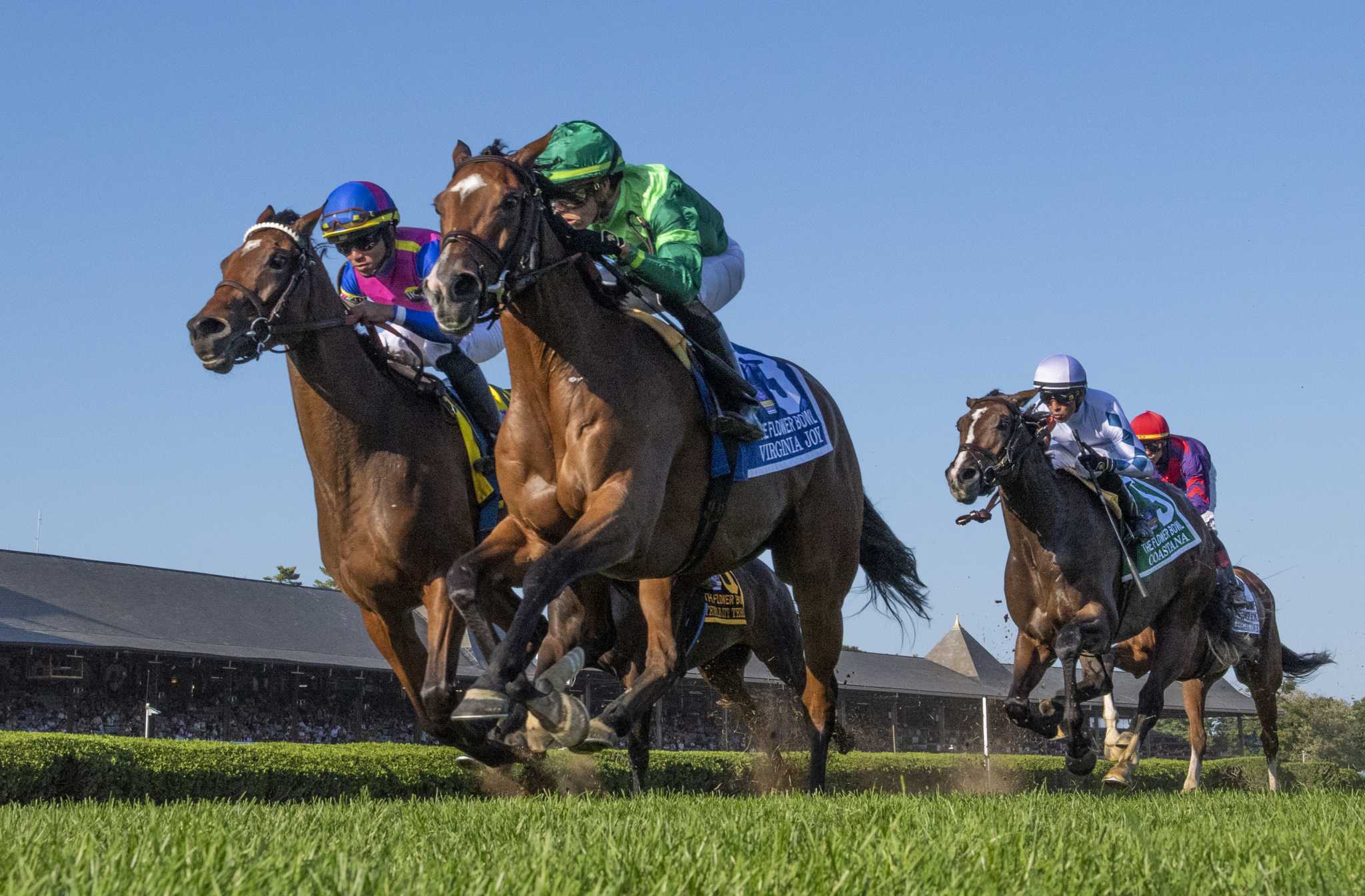 Virginia Joy exacts revenge in Flower Bowl at Saratoga - Vimarsana News