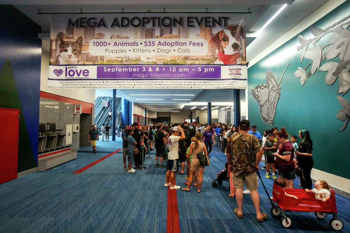 Houston’s mega pet adoption to ease critically overrun shelters