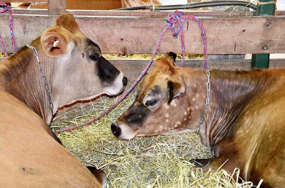 Goshen Fair thousands of visitors for food and fun