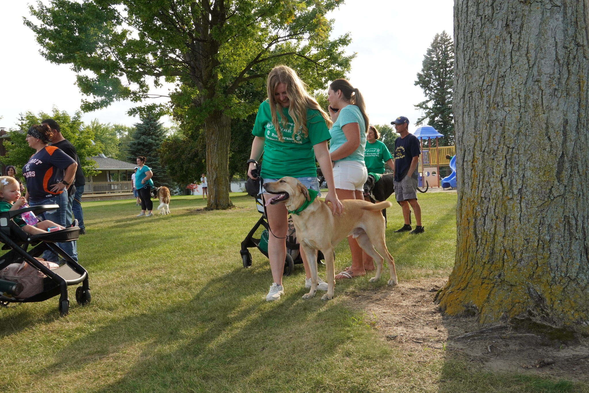 Residents continue to push for reinstatement of animal control in Huron County