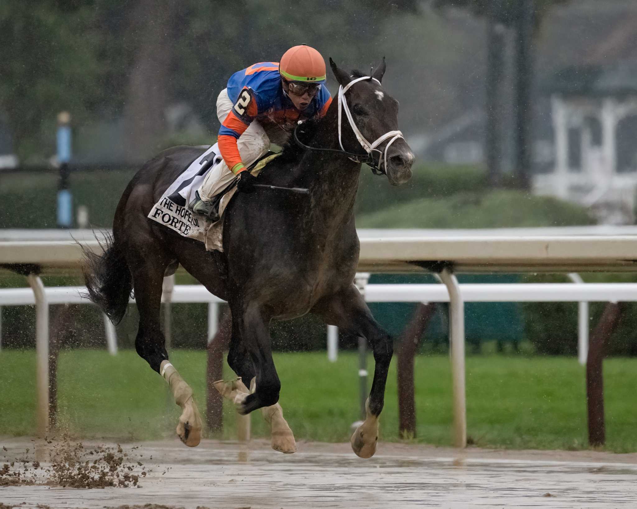 Forte splashes to Hopeful victory at Saratoga - Vimarsana News
