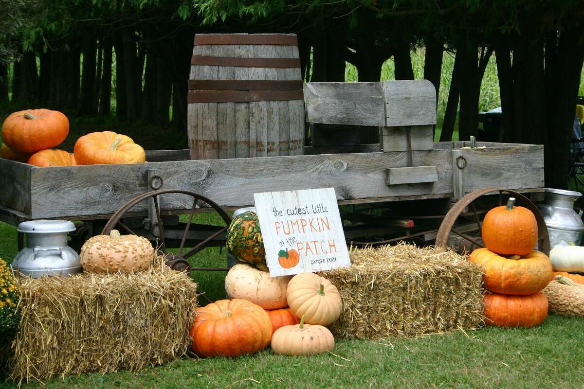 Oxford Farm in Hersey welcomed fall with food, fun and games during its opening weekend. 