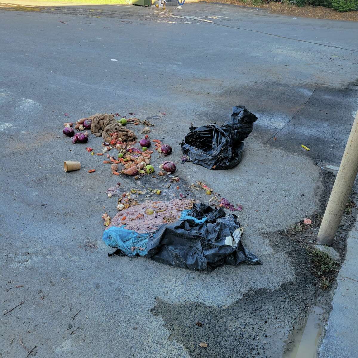 Burning Man aftermath leaves trash mounds in Lake Tahoe area