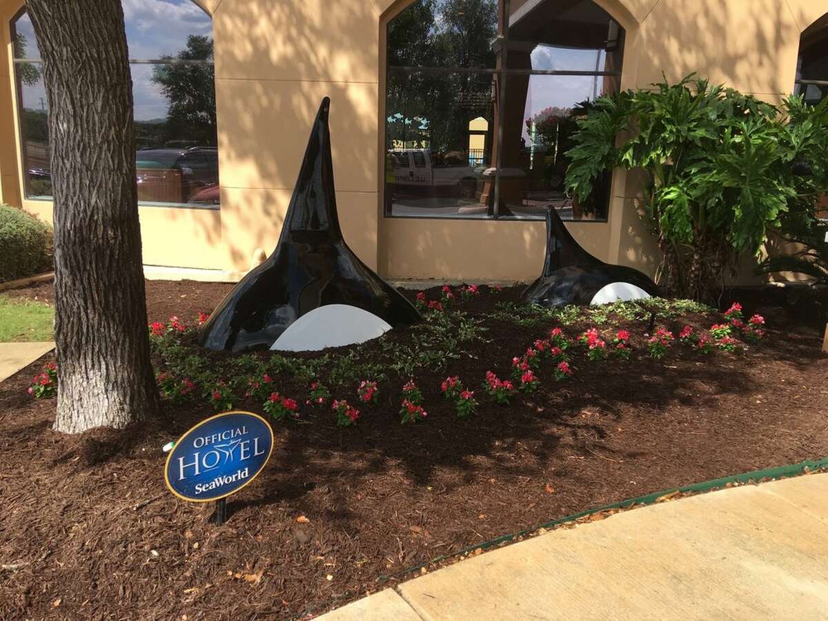 Signs are seen outside Courtyard by Marriott San Antonio SeaWorld/Westover Hills showing the hotel's affiliation with SeaWorld San Antonio. The park's mascot, Shamu, is part of the signage.