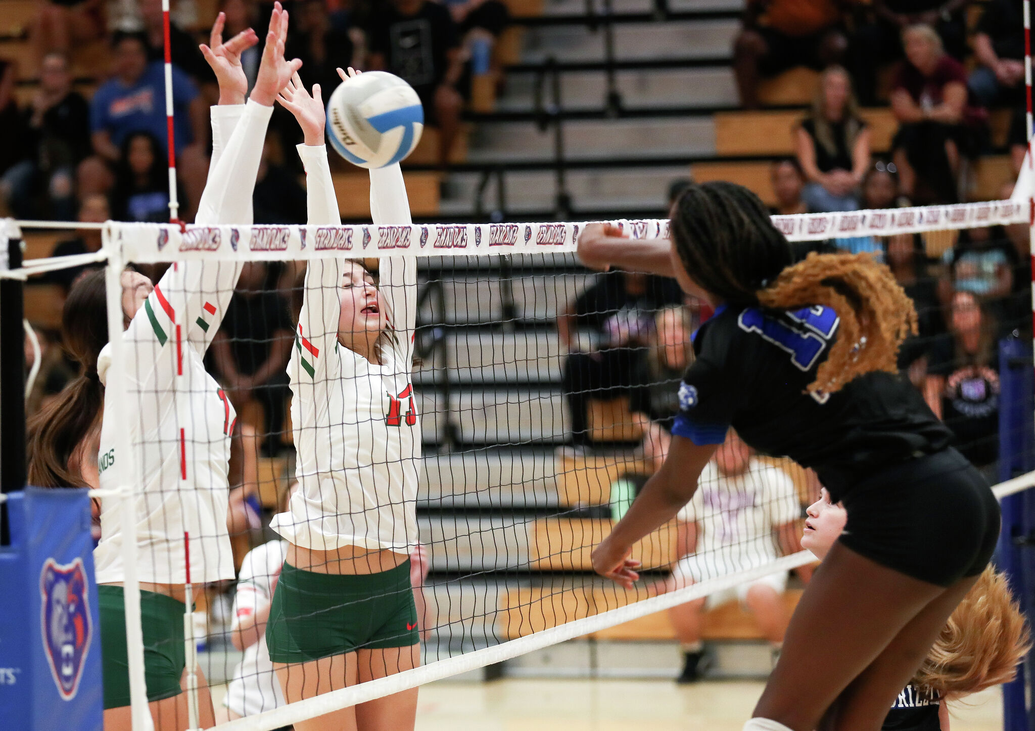 HS volleyball Houston-area stars recognized by AVCA