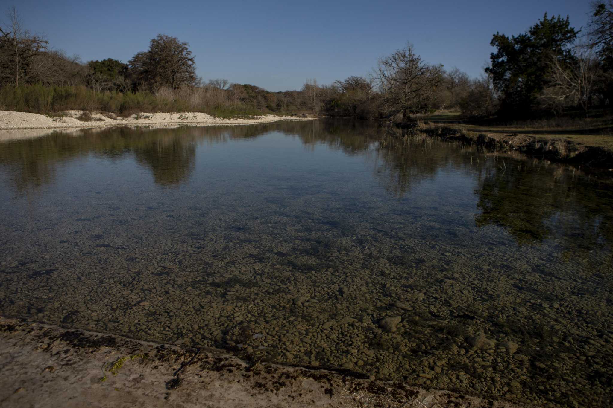 Editorial: Cruz, Cornyn should back the Recovering America's Wildlife Act - Vimarsana News