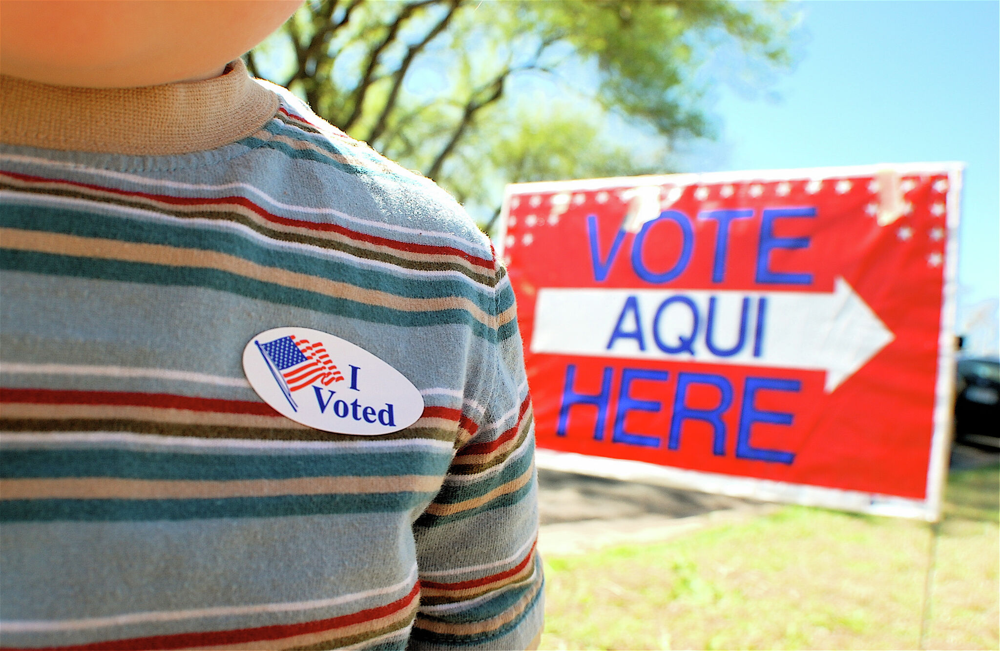 How to become a Texas poll watcher for upcoming Nov. elections - Vimarsana News