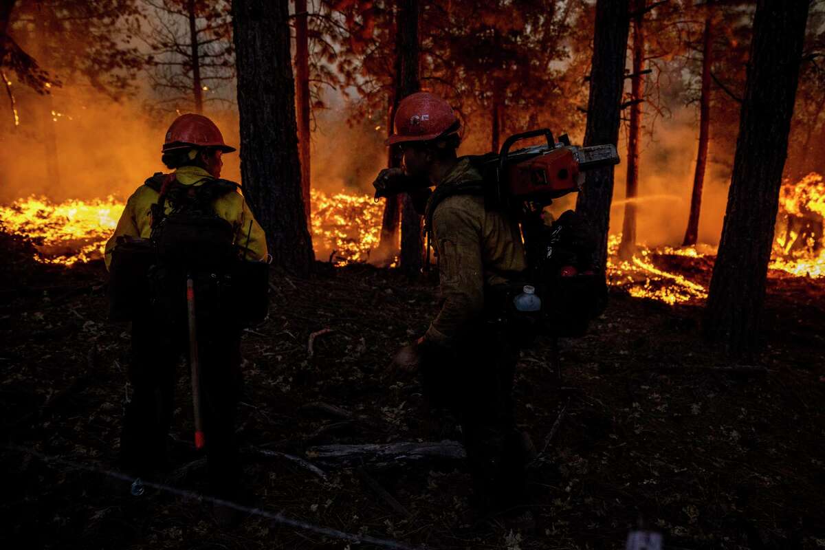 Firefighters with the Little Tujunga Hotshots monitor a backfire while battling the Mosquito Fire near Michigan Bluff in unincorporated Placer County, Calif., Wednesday, Sept. 7, 2022. (Stephen Lam/San Francisco Chronicle via AP)