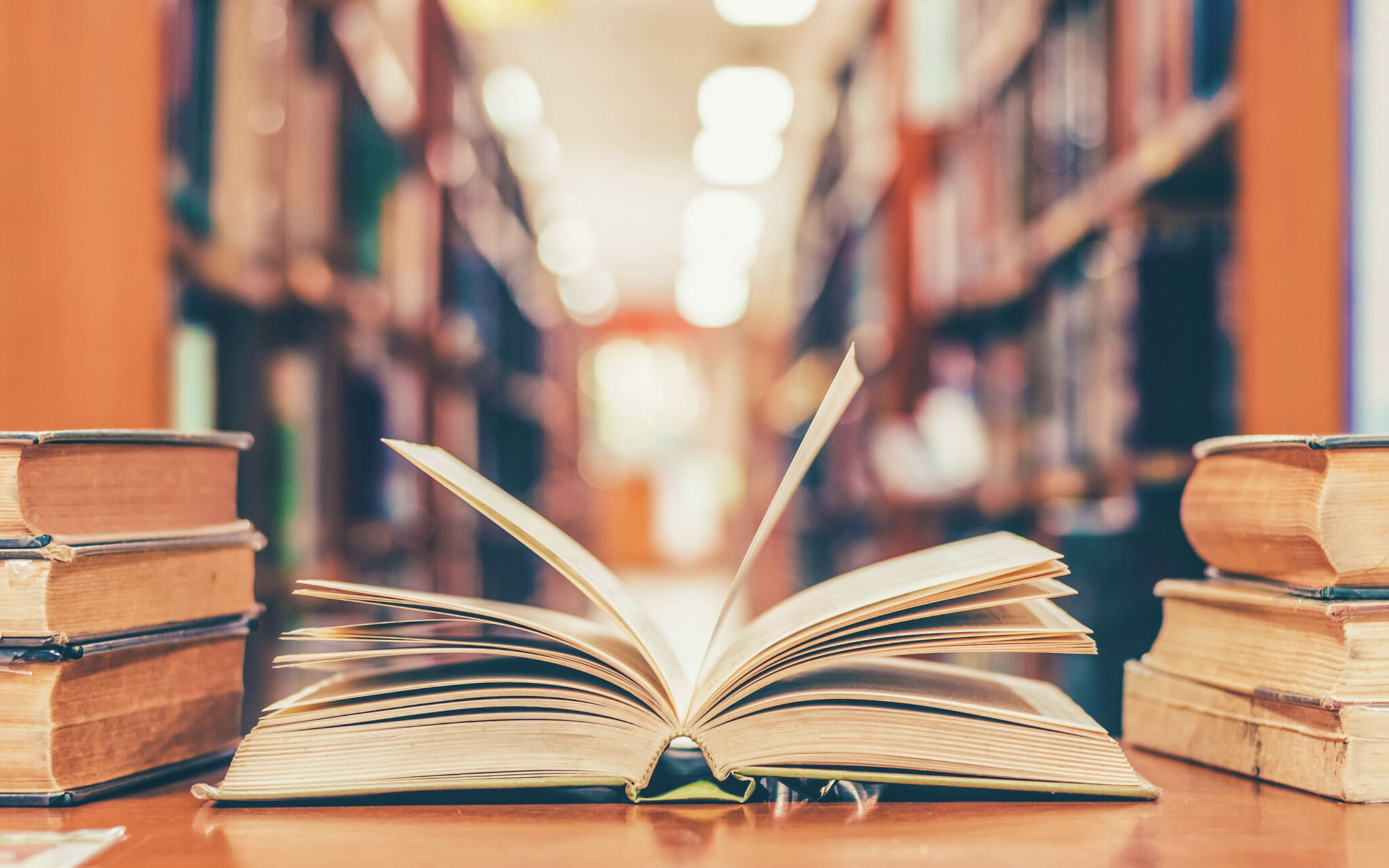First annual Connecticut Book Festival takes place in October - Vimarsana News